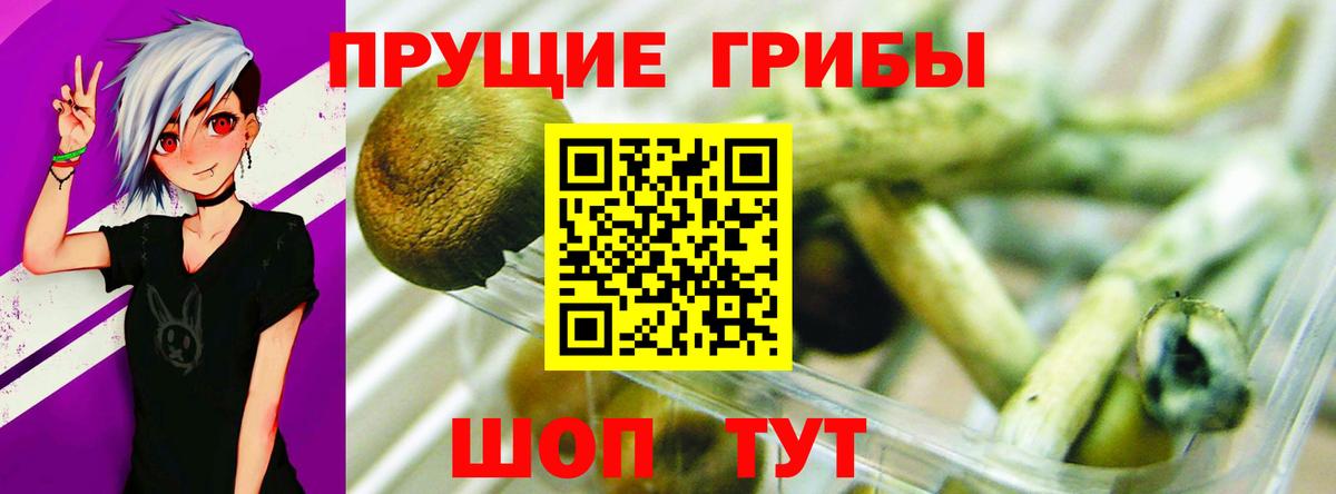 Галлюциногенные грибы GOLDEN TEACHER  Вход с VPN  Уварово 